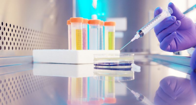 ISEIE-biotecnologia y biologia molecular