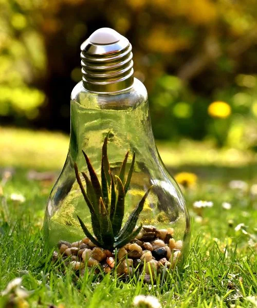 cursos del medio ambiente