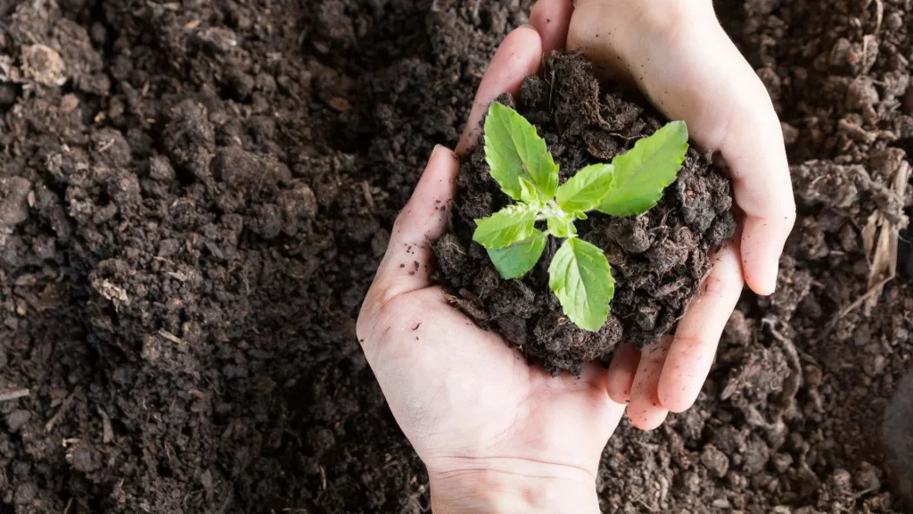 curso medio ambiente