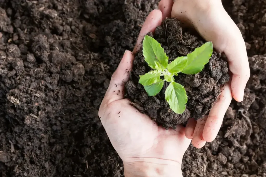 Curso en Medio Ambiente 1
