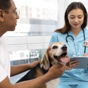 Diplomado en Atención Crítica Veterinaria Aplicada (ECC/UCI)
