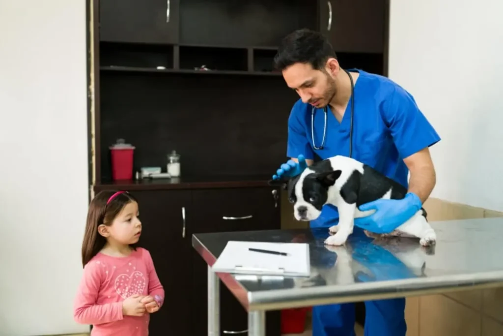 Maestría Profesional en Urgencias y Cuidados Intensivos de Pequeños Animales (ECCUCI) 1