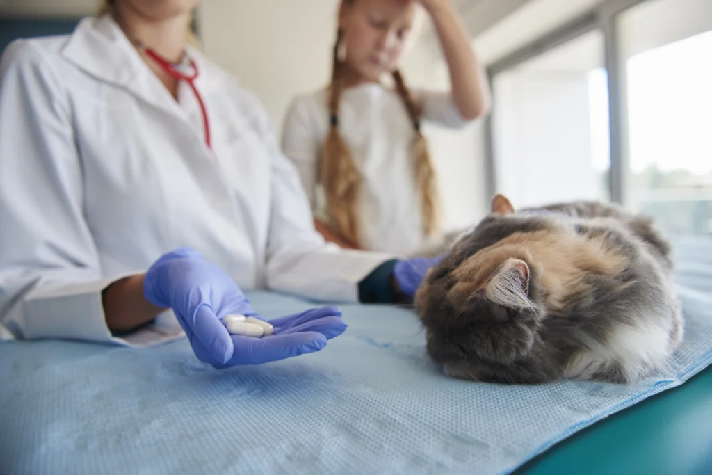 Maestría Profesional en Urgencias y Cuidados Intensivos de Pequeños Animales (ECCUCI) 3