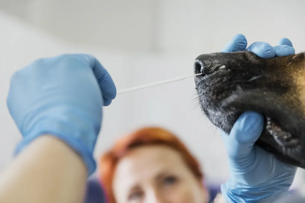 Maestria en Cirugía de Tejidos Blandos y Anestesia en Veterinaria 2