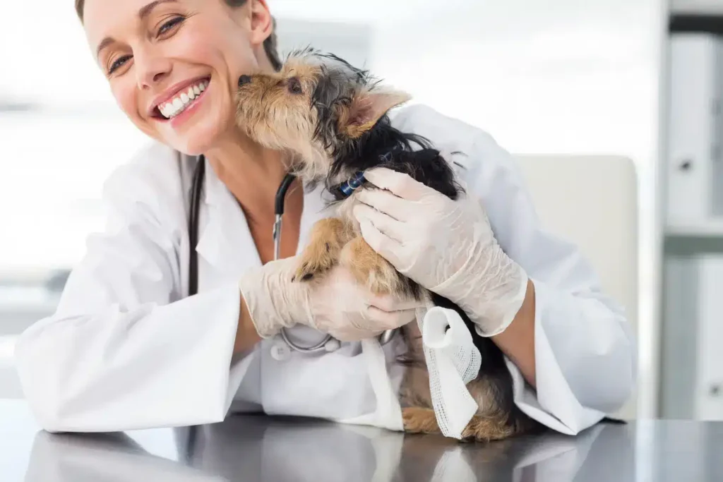 Maestría en Nutrición Clínica y Gestión de Peso en Pequeños Animales 2