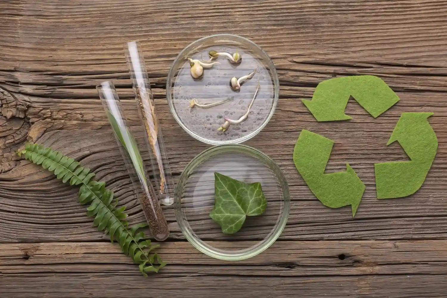 Diplomado en Economía Circular y Reducción de Microplásticos Diplomado-en-Economia-Circular-y-Reduccion-de-Microplasticos-1