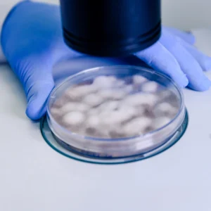 Diplomado-en-Tecnologias-de-Mitigacion-y-Tratamiento-de-Microplasticos-1