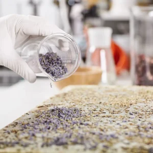 Maestría-en-Ingenieria-de-Tratamiento-y-Remediacion-de-Microplasticos-1