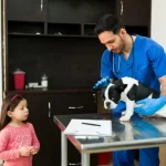 Maestría Profesional en Urgencias y Cuidados Intensivos de Pequeños Animales (ECCUCI) 1